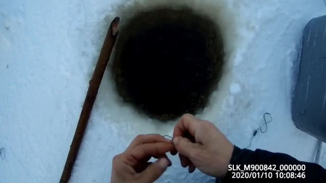 Клевое утро и отличный улов 10 01 2020 смотреть онлайн