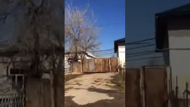 Узбекистан п.золотой часть4 смотреть онлайн