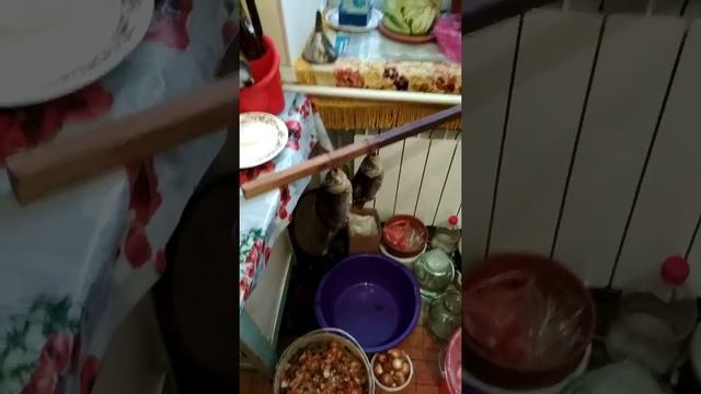 Как зимой высушить солёную рыбу. смотреть онлайн