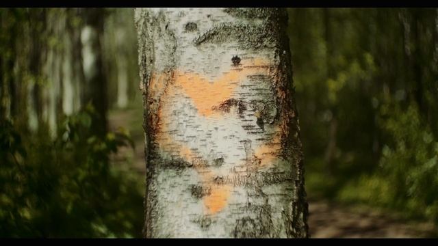 Fujifilm X-T4 Handheld Test. IBIS BOOST ON.