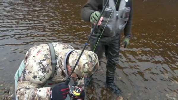 Экспедиция за тайменем