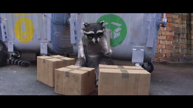 Racoons E-case смотреть онлайн