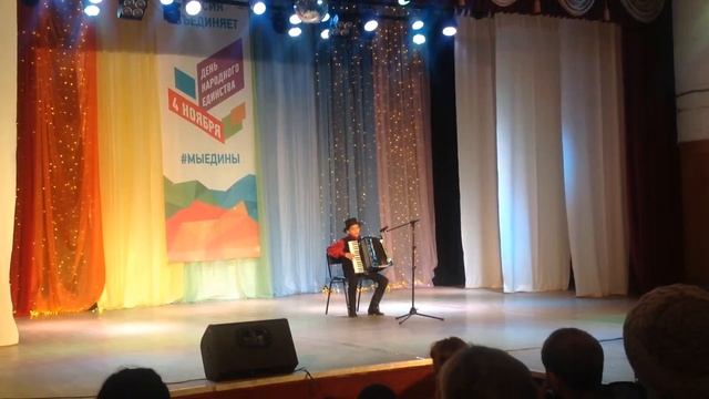 день единства Цыганская полька на аккордеоне-Куропаткин Кирилл смотреть онлайн