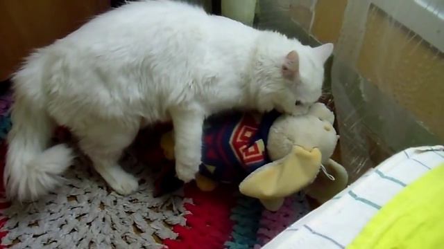 У кота забирают любимую игрушку смотреть онлайн