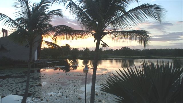 Incredible Peace and Calm at Barcelo Punta Cana Resort - Puerto Plata to Punta Cana DR. смотреть онлайн