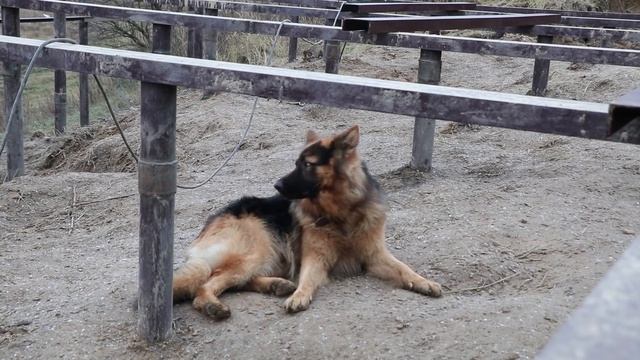 Как сделать обвязку винтовых свай металлом? УЗЛЫ. Швеллер и уголок. "СВ-Фундамент" смотреть онлайн