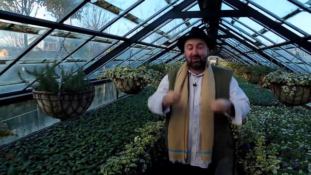 მწვანე გაკვეთილები გარდენიაში / Green Lessons смотреть онлайн