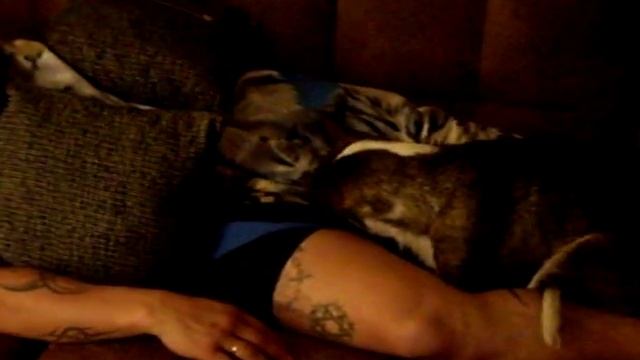 Глубокая глотка смотреть онлайн