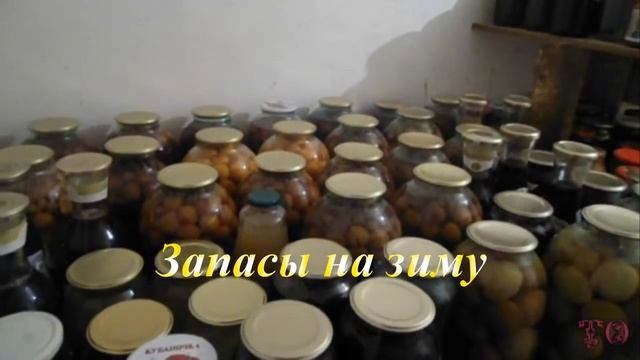 МОЙ САД С ПЕРВЫМ СНЕГОМ. Деревья в снегу. смотреть онлайн