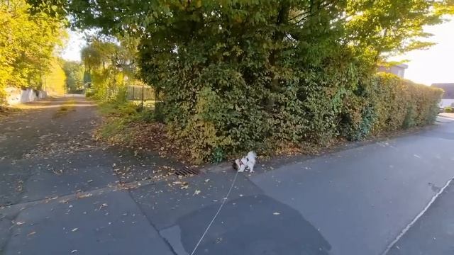 Привет от Мамы/Опять о Квартире родителей смотреть онлайн