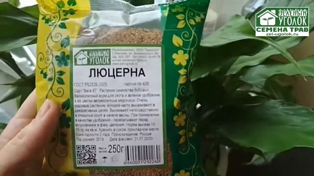 Люцерна изменчивая норма высева смотреть онлайн