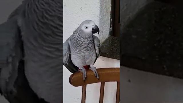 Это многозначительное Да!.. смотреть онлайн
