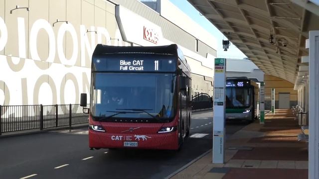 Transperth Volvo BZL (Volgren Optimus) TP4001 at Joondalup Station смотреть онлайн