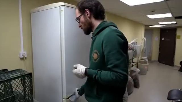 Тушканчики ушли в зимнюю спячку в Московском зоопарке (2022) смотреть онлайн