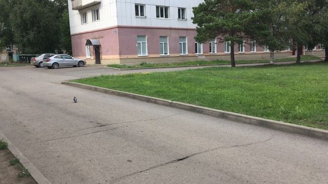 КАК СНИМАЕТ КАМЕРА IPHONE SE 2016 - 4K 30FPS (CAMERA TEST) смотреть онлайн