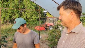 Ежевика Небеса могут подождать. Самый лучший летний сорт ежевики. Безумный вкус и качество ягоды.??