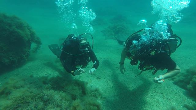 Дайвинг в Алупке смотреть онлайн