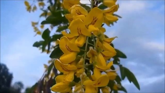 ПОЧЕМУ НОВОЕ ВРЕМЯ ТАК ТРЕБОВАТЕЛЬНО К ЧЕЛОВЕКУ?