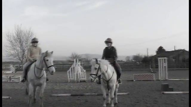 The Two Grays смотреть онлайн