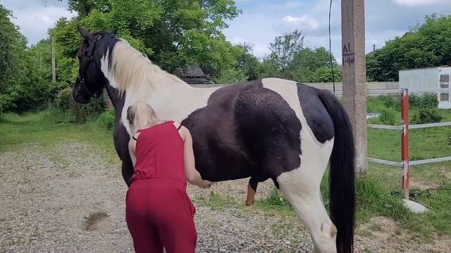 Простите за неприличные кадры))