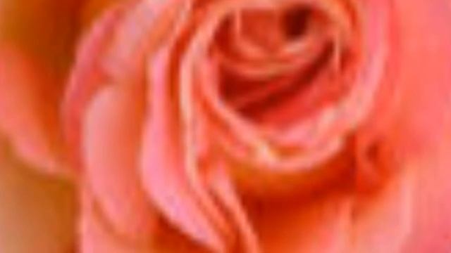 Four Minute Meditation Music Video смотреть онлайн