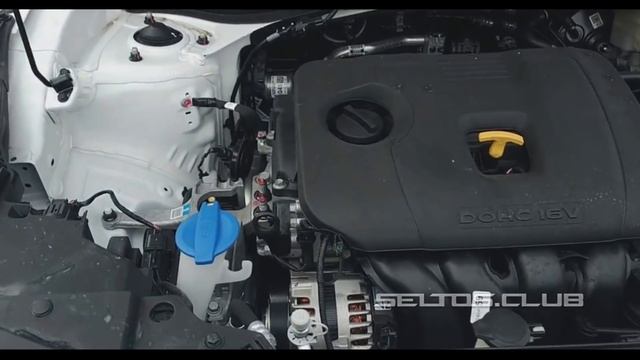Первый обзор Seltos 2.0 4wd в России (Форум Киа Селтос Клуб)