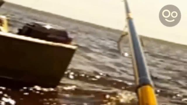 8 SIRENAS Reales Captadas en Cámara y VISTAS en la Vida REAL смотреть онлайн