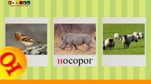 Алфавит Учимся Читать с Кругляшиком Буквы и Звуки - Буква Ю