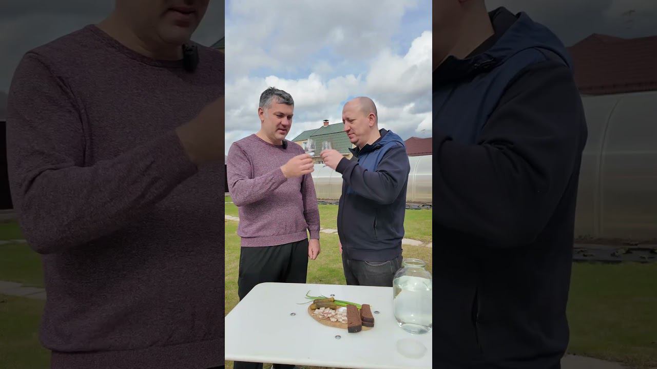 Дегустируем самогон из гречки #самозванцы #shorts смотреть онлайн