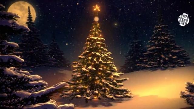 Стихи от воспитанников детских садов №1 и №2 смотреть онлайн