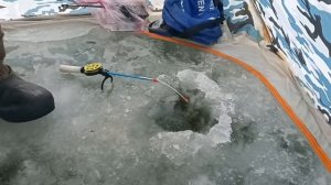 Ловля карпа со льда. Новая оснастка на карпа, для ловли зимой.