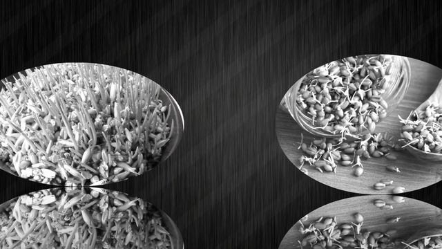 Рецепты для лечения проросшими зернами пшеницы. [НАРОДНАЯ МЕДИЦИНА] смотреть онлайн