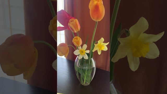 Пробуждение! смотреть онлайн