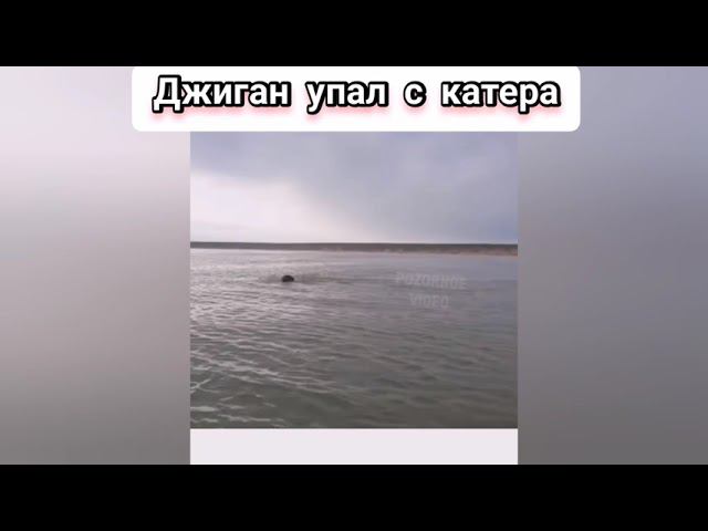 Джиган упал с катера(мишка плавает в море) смотреть онлайн