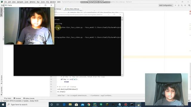 002 Python Project - Face Blur смотреть онлайн