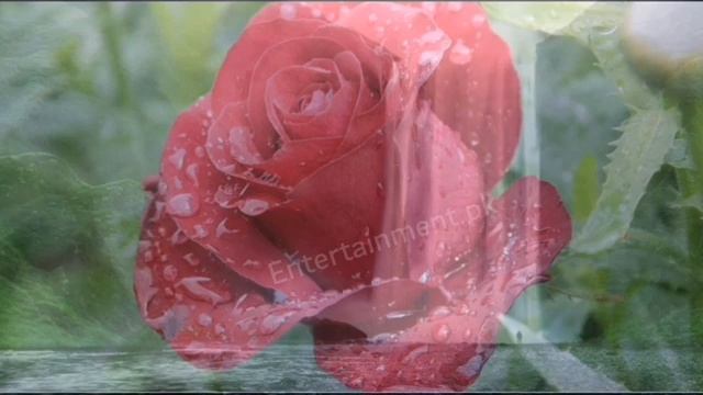 Sad Urdu poetry Status || Heart Touching Poetry StatusVery Sad Poetry Status |Whatsapp Status смотреть онлайн