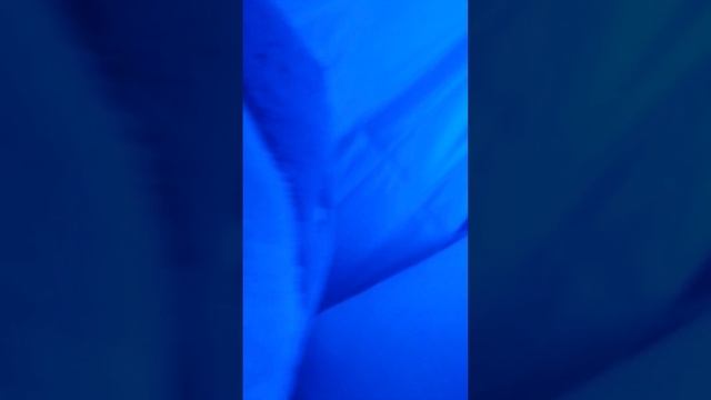 аоаоаоа карандаш #икея #светильник #карандаш смотреть онлайн