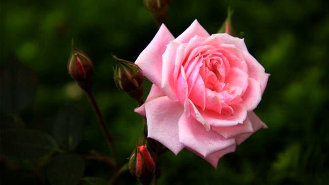 Слушать хорошую песню для машины онлайн смотреть онлайн