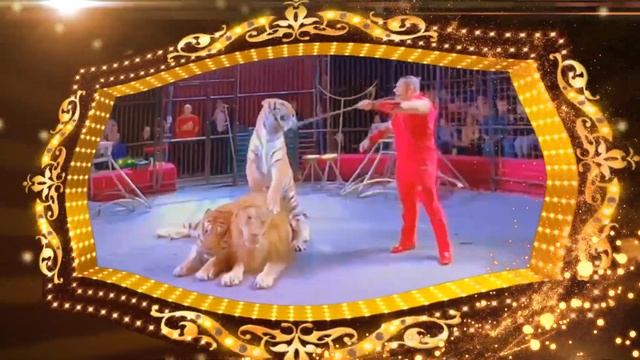 Звёзды мирового цирка в Нижнем Тагиле смотреть онлайн