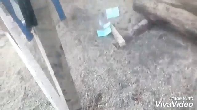 Ворота без единого гвоздя , bigkrol смотреть онлайн