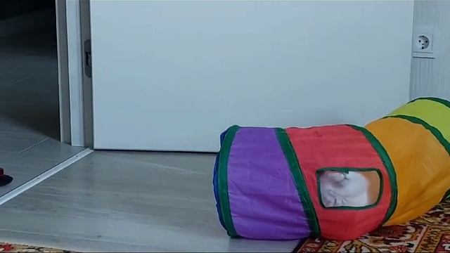 Самая лучшая труба смотреть онлайн