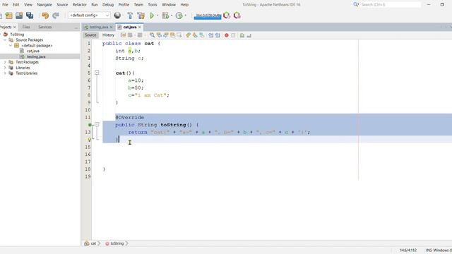 toString method in java OOP || NetBeans || @thedotmian смотреть онлайн