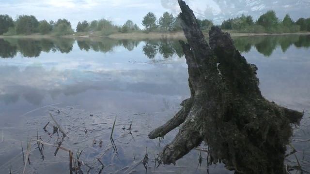УТРО НА ЧЕРНОМ ОЗЕРЕ. РЫБАЛКА НА ПОПЛАВОК смотреть онлайн