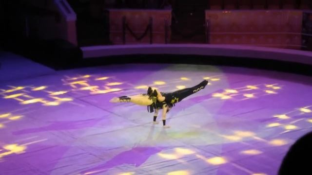 Омский цирк 17 06 2023-Жираф-шоу (СИЛОВЫЕ ГЕМНАСТЫ) смотреть онлайн