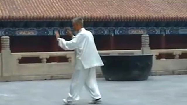 Тайцзицюань, Сун Пэйгэ - полная форма Лао Лю Лу