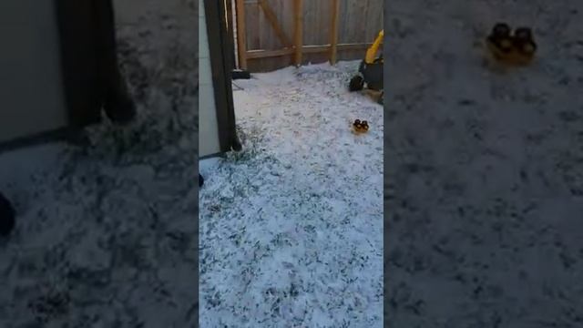 snowday #1 смотреть онлайн