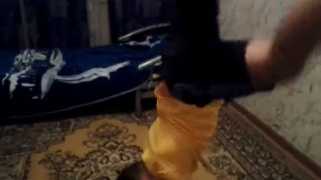 Как сделать кувырок вперед и назад. смотреть онлайн