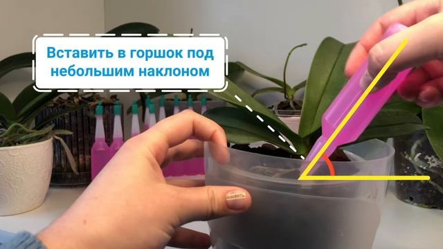 Японское удобрение Yorkey смотреть онлайн