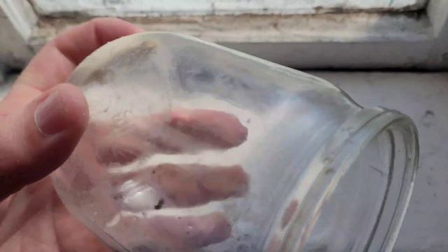 Как Поймать Мышь сейчас без Мышеловки , самый простой Способ смотреть онлайн