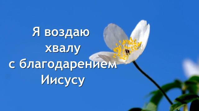 Я пою Тебе Аллилуйя! ©️ смотреть онлайн